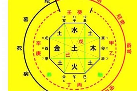 生日算命八字|生辰八字算命、五行喜用神查询（免费测算）